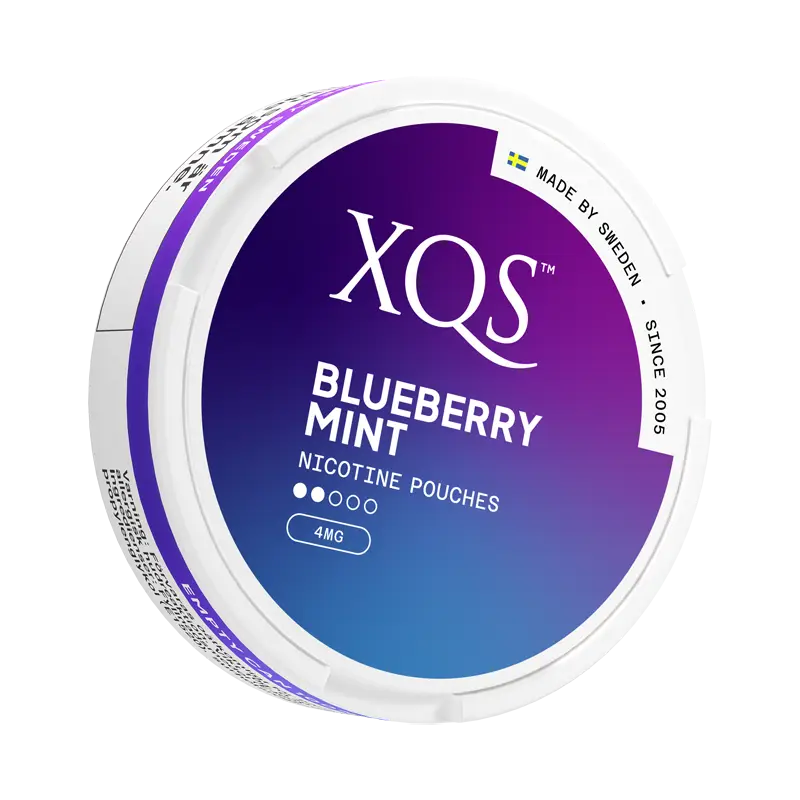 XQS Blueberry Mint Light Slim